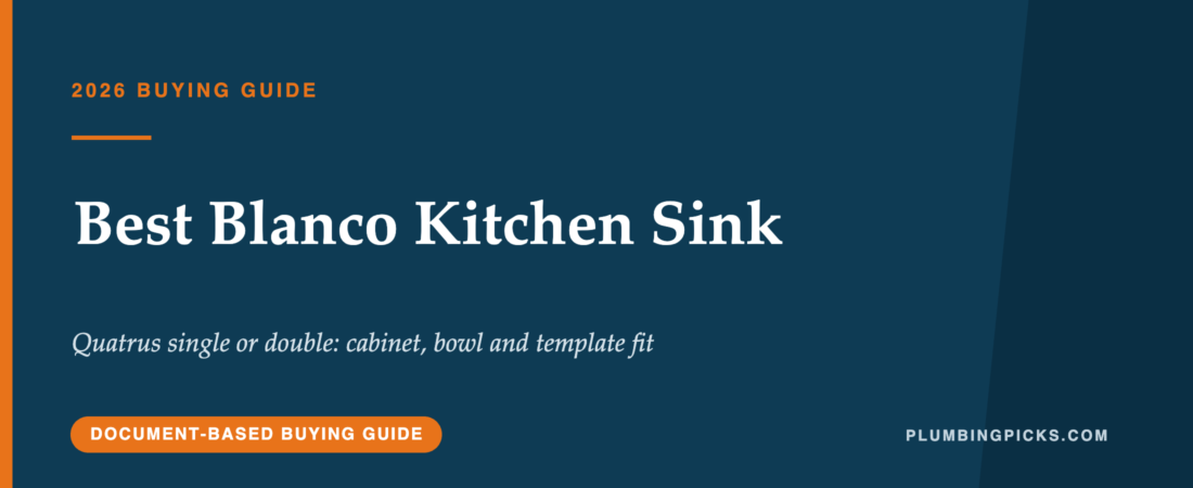 Best Blanco Kitchen Sink