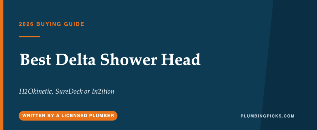Best Delta Shower Head